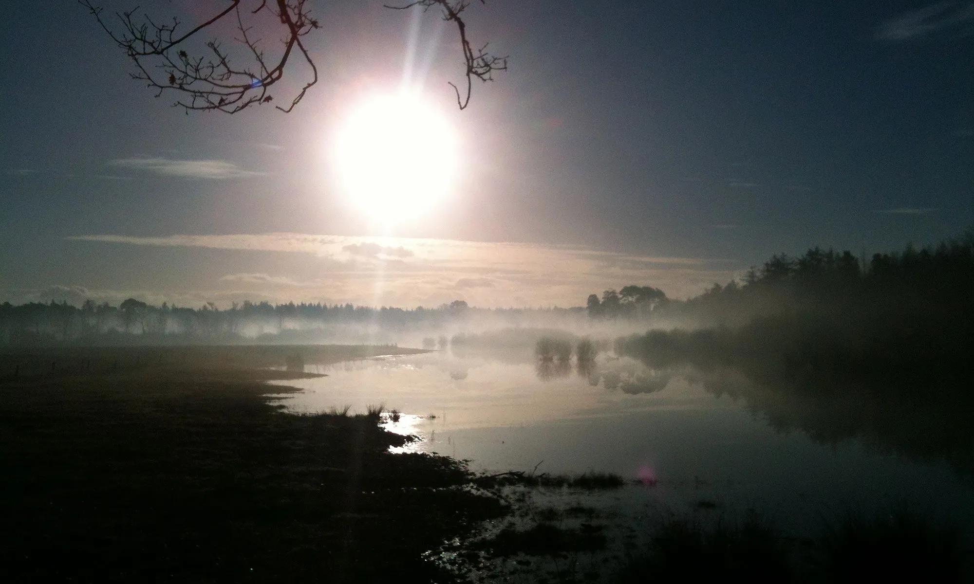 Ochtendnevel boven het water in het Mastbos bij Breda